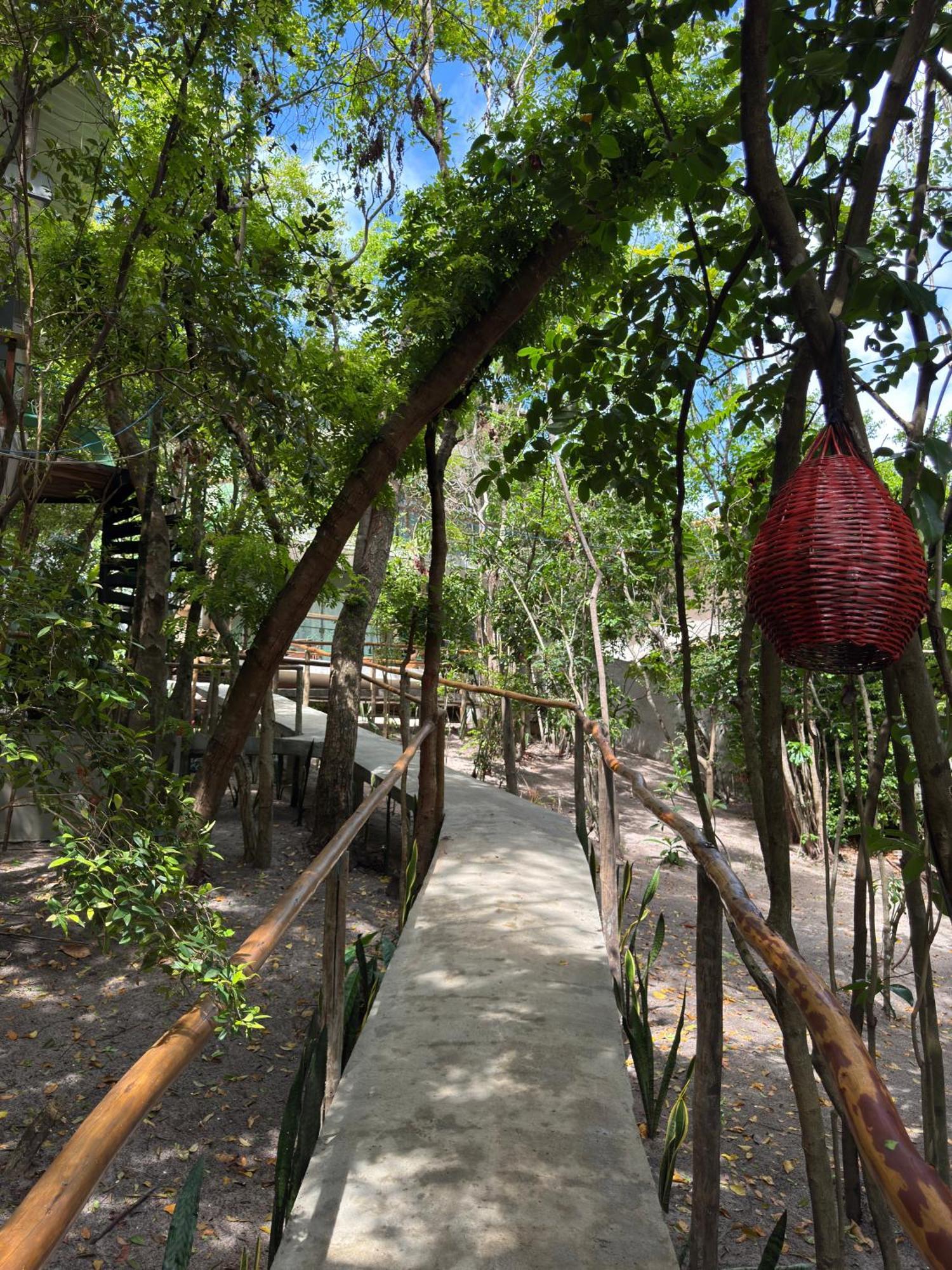 Ninhos Da Pipa Villa Praia de Pipa Eksteriør bilde